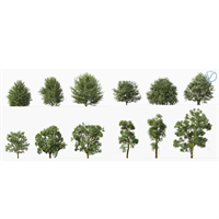 Modern landscape tree trees 3d model
